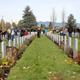 Illustration for article titled 2018 Remembrance Day at Mountain View Cemetery